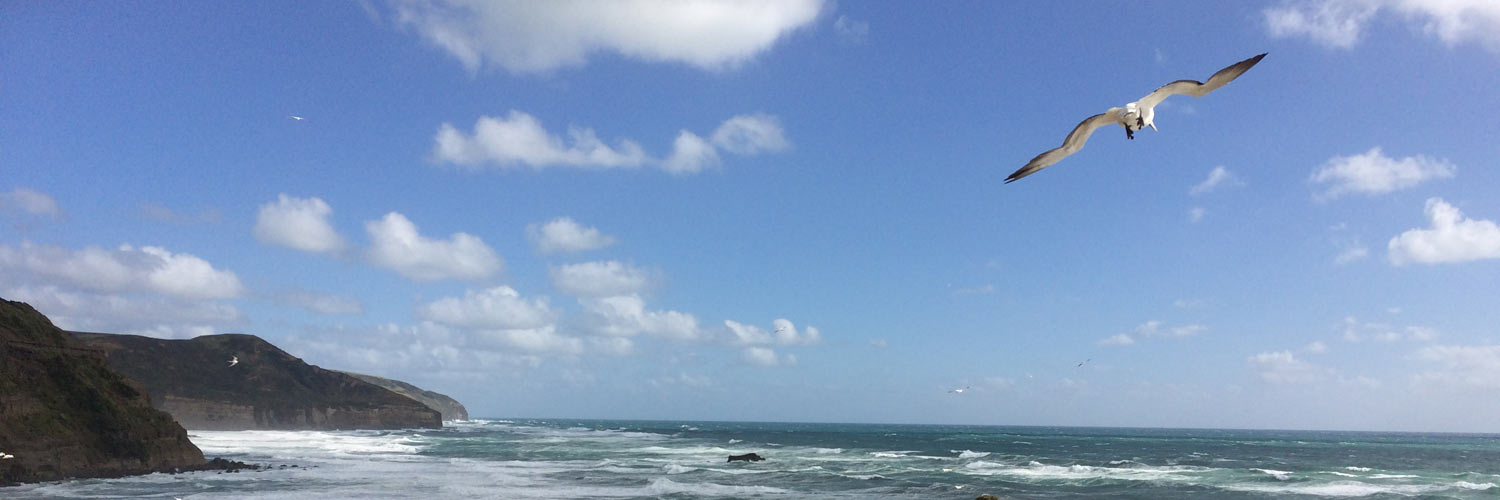 pano